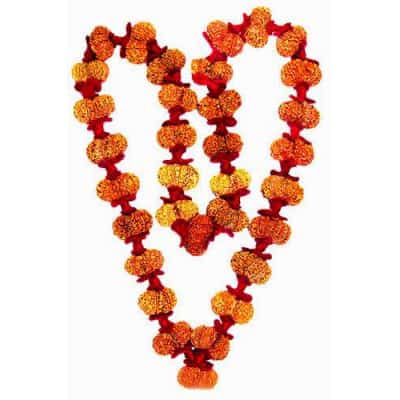 Picture of Gauri Shankar Kantha Rudraksha Mala (Nepali)