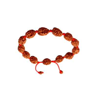 Picture of Three Mukhi Rudraksha Bracelet