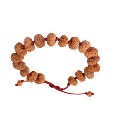 Picture of 12 Mukhi Rudraksha Bracelet