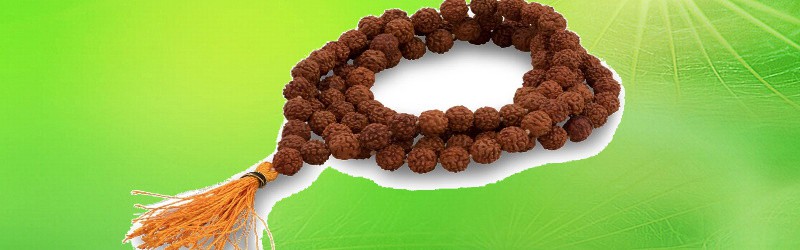 all about rudraksha benefits